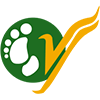 Yeti Airlines